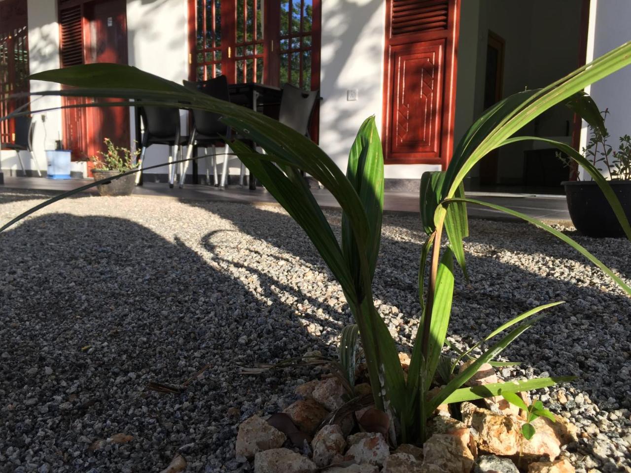 Sigiriya Green Garden Homestay المظهر الخارجي الصورة