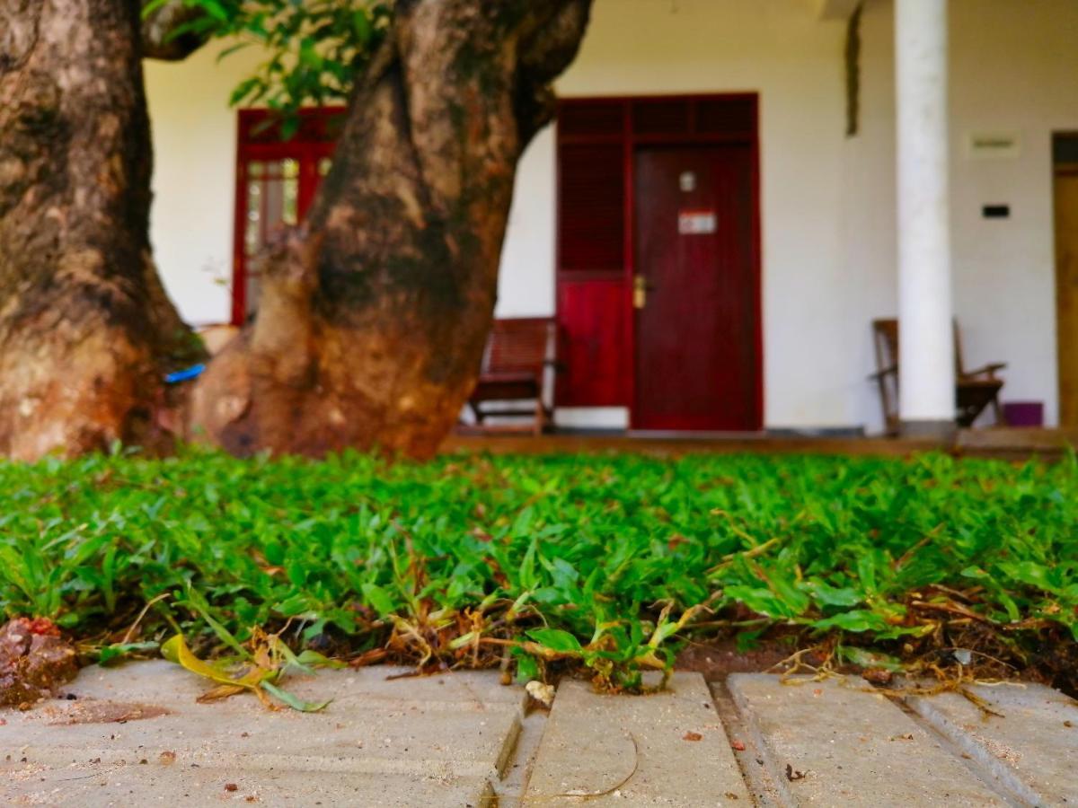 Sigiriya Green Garden Homestay المظهر الخارجي الصورة