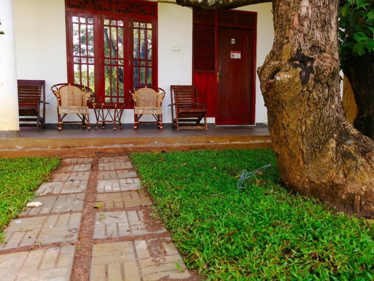 Sigiriya Green Garden Homestay المظهر الخارجي الصورة
