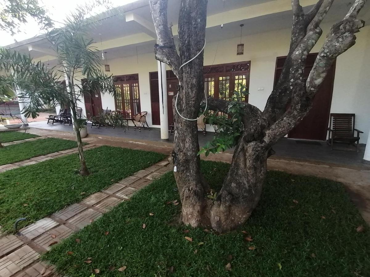 Sigiriya Green Garden Homestay المظهر الخارجي الصورة